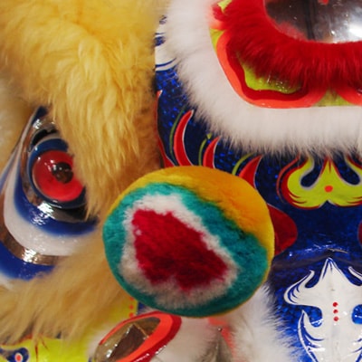 lion team flip box image